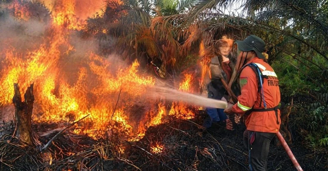 Petugas BPBD dan warga berupaya memadamkan kebakaran lahan gambut di Kotawaringin Barat.