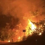 Petugas memadamkan kebakaran lahan di tepi Jalan Trans Kalimantan Sanggau