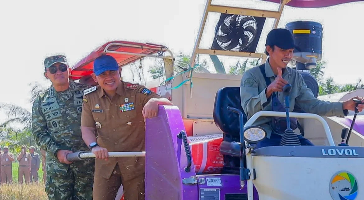 Kegiatan panen padi serentak oleh Pemkab Tanah Laut untuk tingkatkan produksi pangan