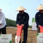 Pertemuan Danantara dan jajaran direksi PalmCo membahas strategi transformasi bisnis kelapa sawit global.