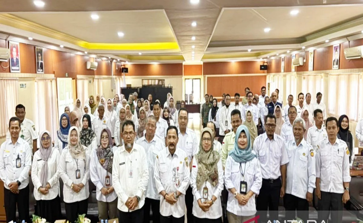 Petani di Kalimantan Selatan menggunakan teknologi pertanian modern untuk meningkatkan produktivitas padi.