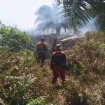 Petugas BPBD Kotawaringin Barat sedang memadamkan api di lahan gambut yang terbakar.
