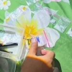 Petugas kepolisian Polres Tabalong melakukan pengungkapan kasus peredaran narkotika jenis sabu.