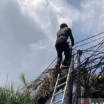 Petugas melakukan penataan kabel fiber optik yang semrawut di kawasan perkotaan Banjarmasin.