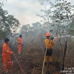 Petugas TRC BPBD Kalsel saat melakukan pemadaman kebakaran lahan di Banjarbaru