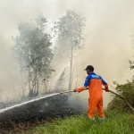 Petugas TRC BPBD Kalsel sedang memadamkan kebakaran lahan di Banjarbaru