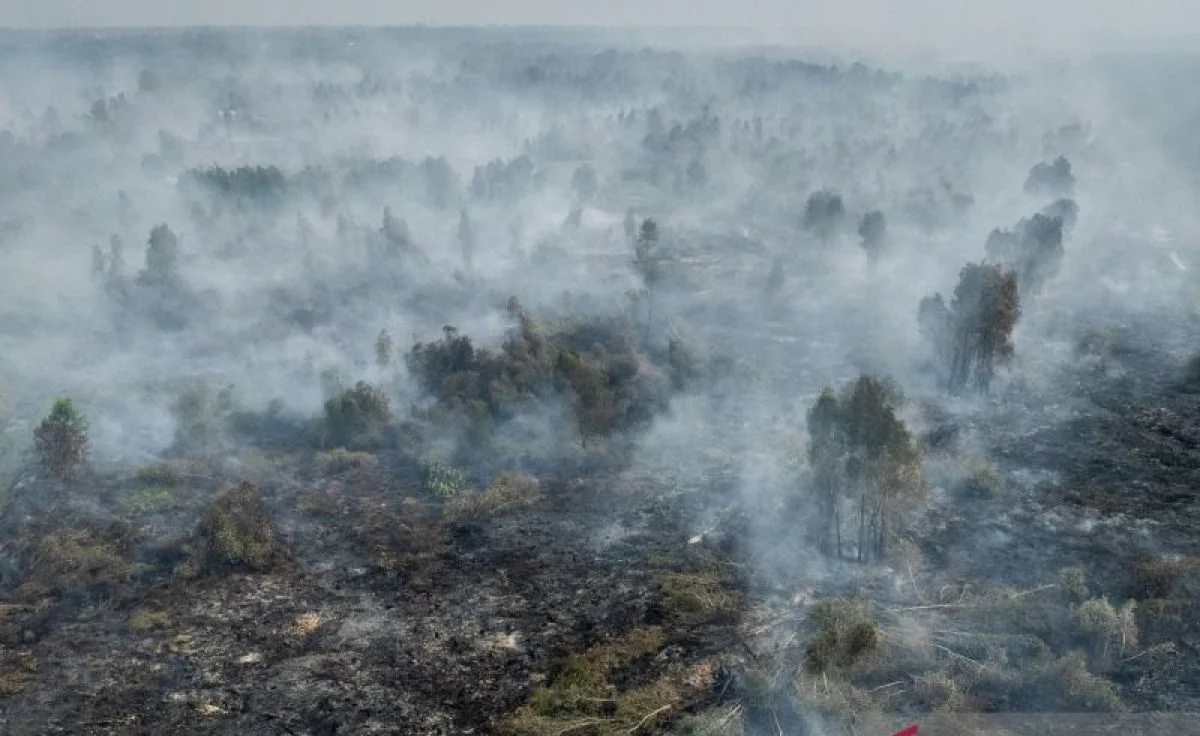 Petugas BPBD melakukan pemantauan titik panas karhutla di wilayah Kalimantan Selatan.