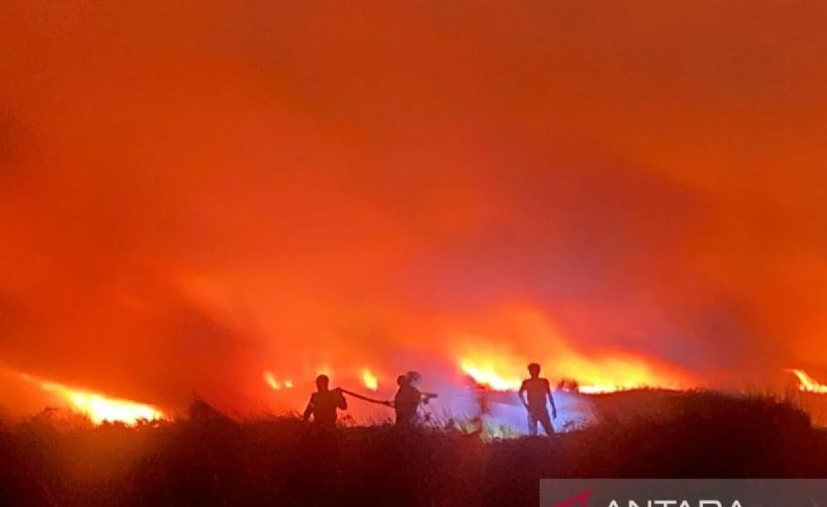 Petugas BPBD melakukan pemadaman kebakaran lahan di wilayah Kalimantan Selatan