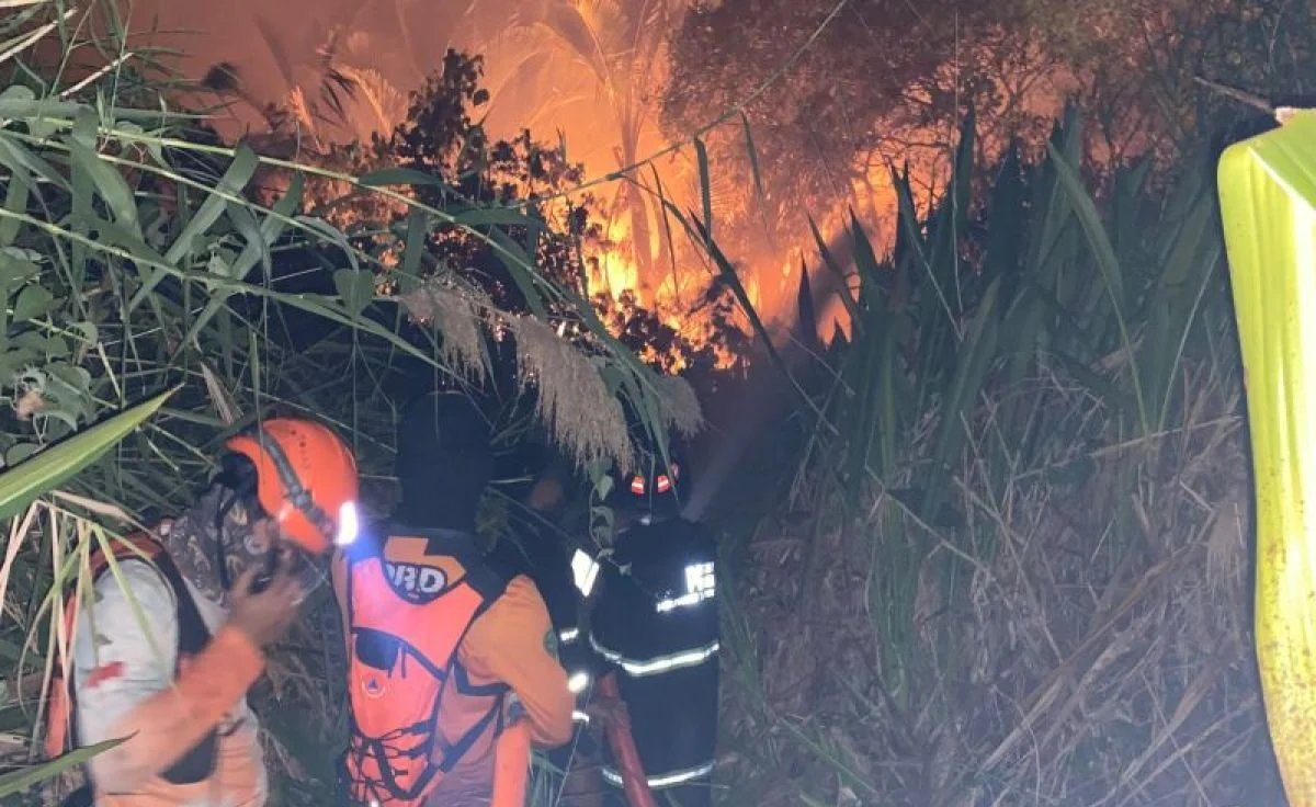 Petugas gabungan melakukan pemadaman kebakaran lahan di Candi Laras Selatan, Tapin