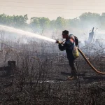 Petugas gabungan sedang berupaya memadamkan kebakaran hutan dan lahan di Palangka Raya.