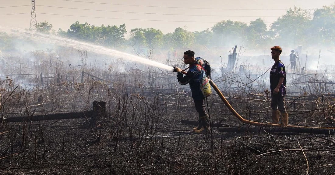 Petugas gabungan sedang berupaya memadamkan kebakaran hutan dan lahan di Palangka Raya.