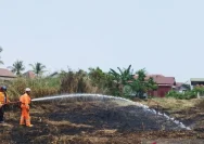 Petugas gabungan sedang memadamkan titik api kebakaran lahan di Banjarmasin