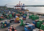 Suasana aktivitas bongkar muat di Terminal Petikemas Banjarmasin yang modern